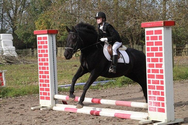 Oldenborg Hr. Lakrids - spring stævne<3 billede 2