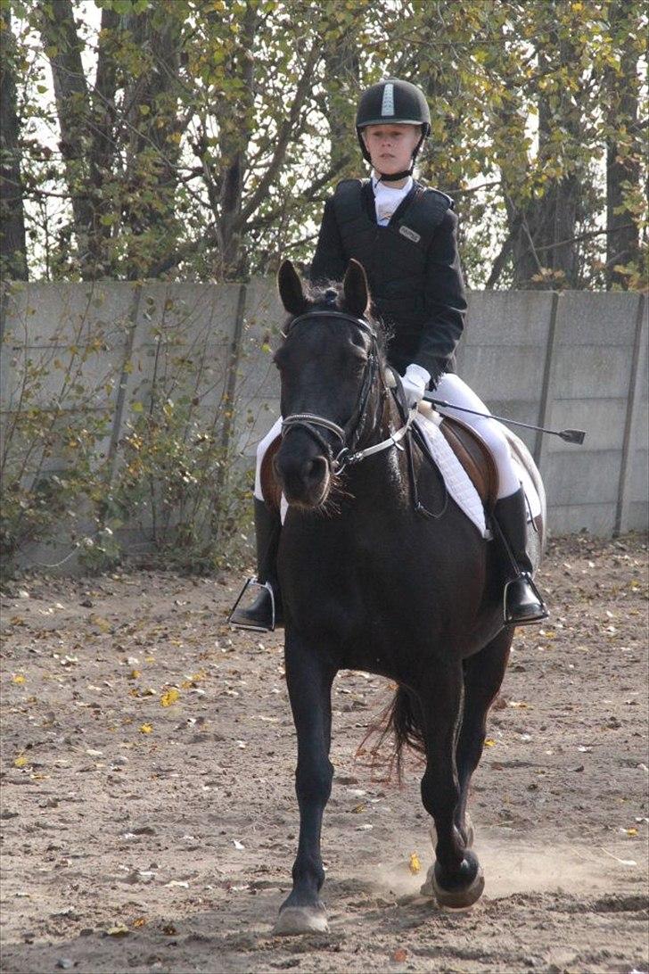 Oldenborg Hr. Lakrids - spring<3 billede 3