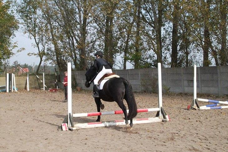 Oldenborg Hr. Lakrids - spring :-* billede 4