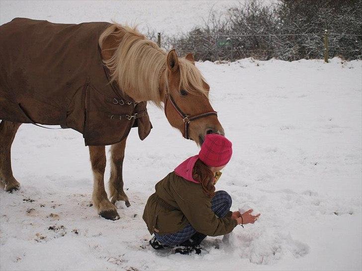 Anden særlig race Valentino <3 *Tino* | My Soulmate|<3 - Tino igang med at vælte mig i sneen efter snebold kamp<3 billede 5