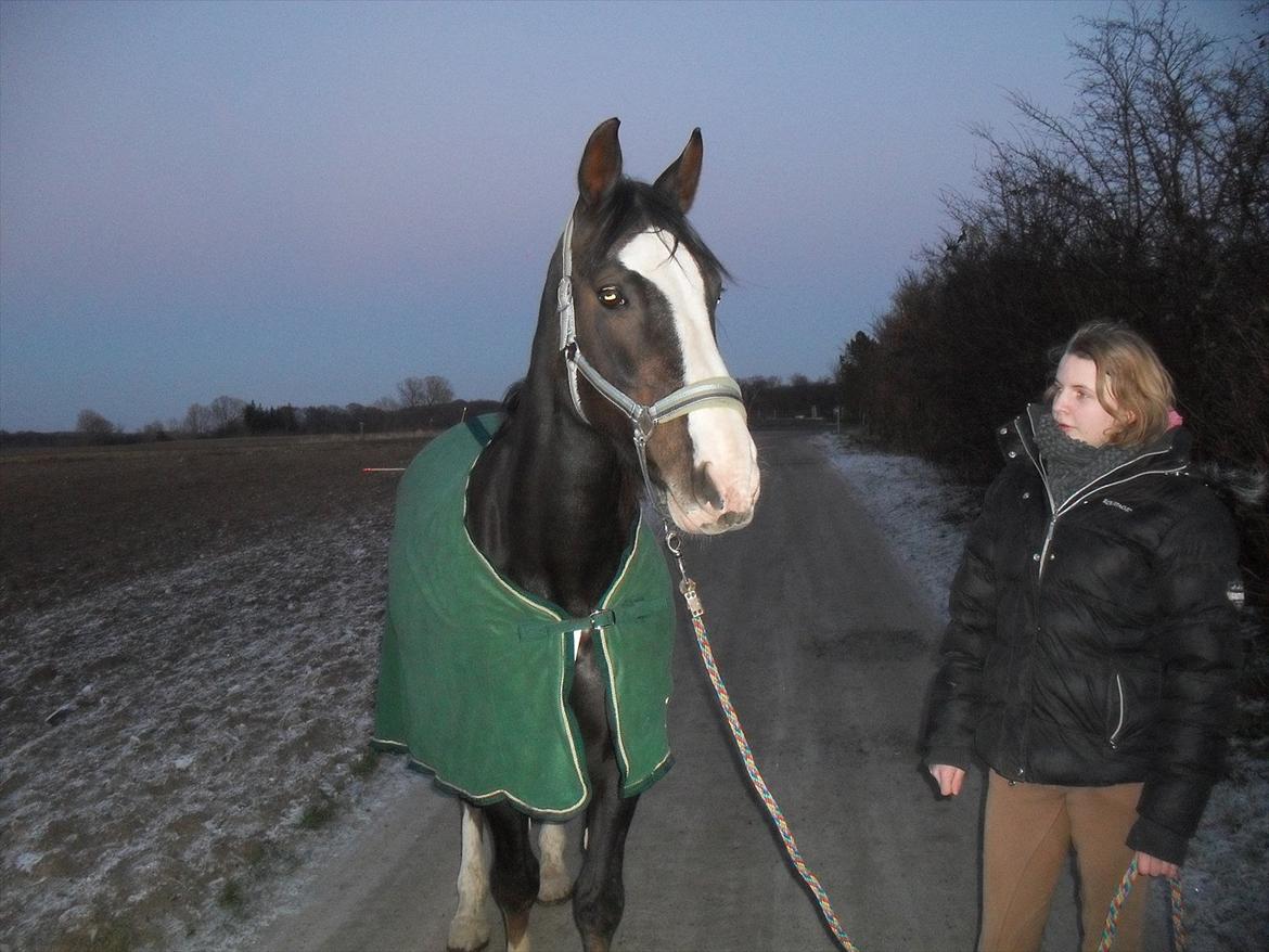 Anden særlig race Chelsey <3 - Da jeg lige havde fået hende billede 17