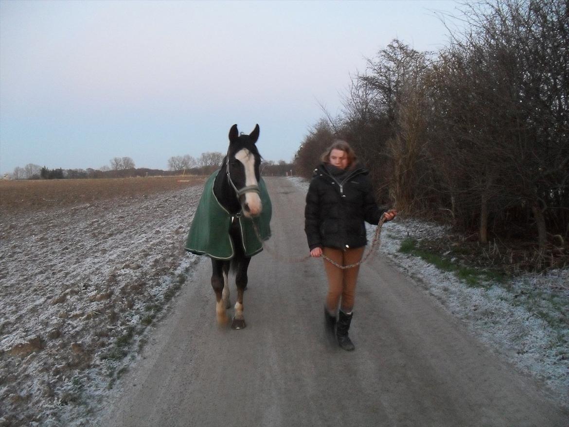 Anden særlig race Chelsey <3 - Første tur :D billede 19