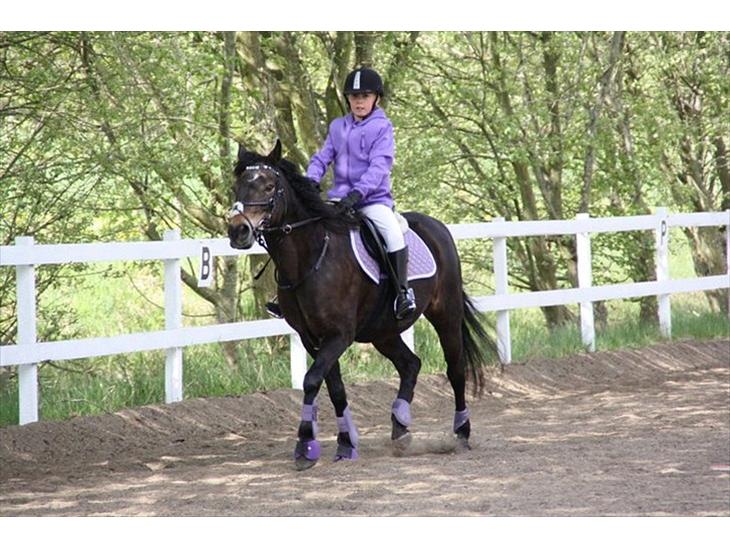 {{currentPhoto.altText}} billede {{currentPhoto.number}}