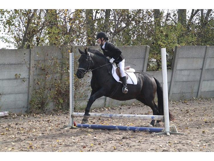 {{currentPhoto.altText}} billede {{currentPhoto.number}}