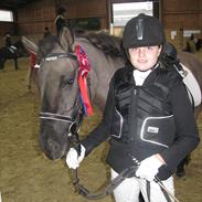 Konik Polski pepsi [himmelheste]