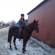 Anden særlig race Felix <3<3