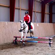 Pinto Savannah (Min Datters)