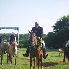 Frederiksborg Top Daisy (Fars Hest)