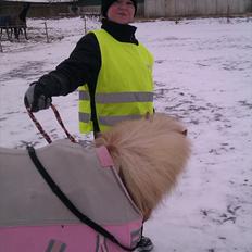 Shetlænder Jeg Elsker Dig Alberte <3<3 Smukke Dig