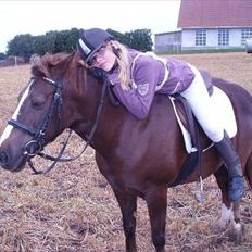 Anden særlig race Duchess