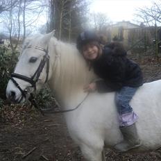 Anden særlig race Herkules