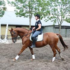 Oldenborg Lady Q
