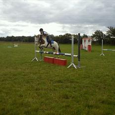 Paint Rosenlyst´s Shane!<3 (Bertil)