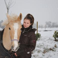 Palomino Queen Of Europe<3