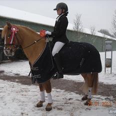 Anden særlig race Buster (Goise)