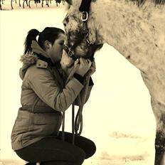 Hollandsk Sportspony Tiger - My soulmate<3 (Snoopy)