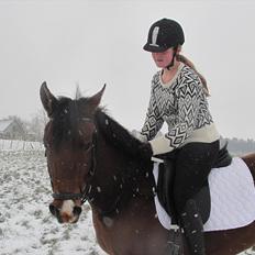 DSP Møgelholtgårds Kiss Me