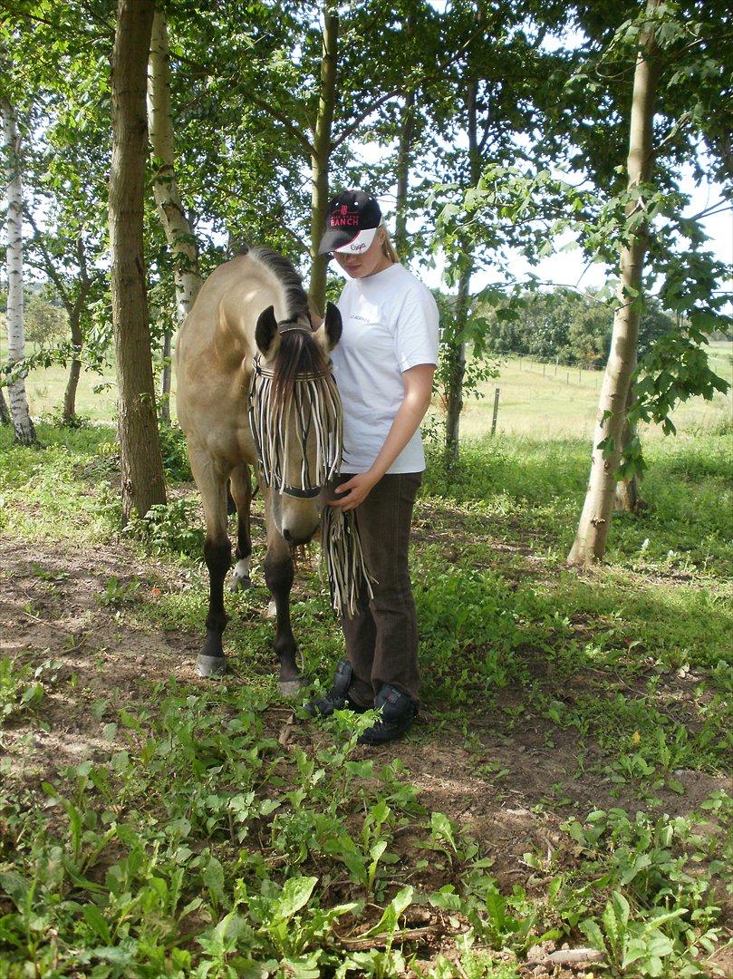 Quarter Rooster Did It billede 19