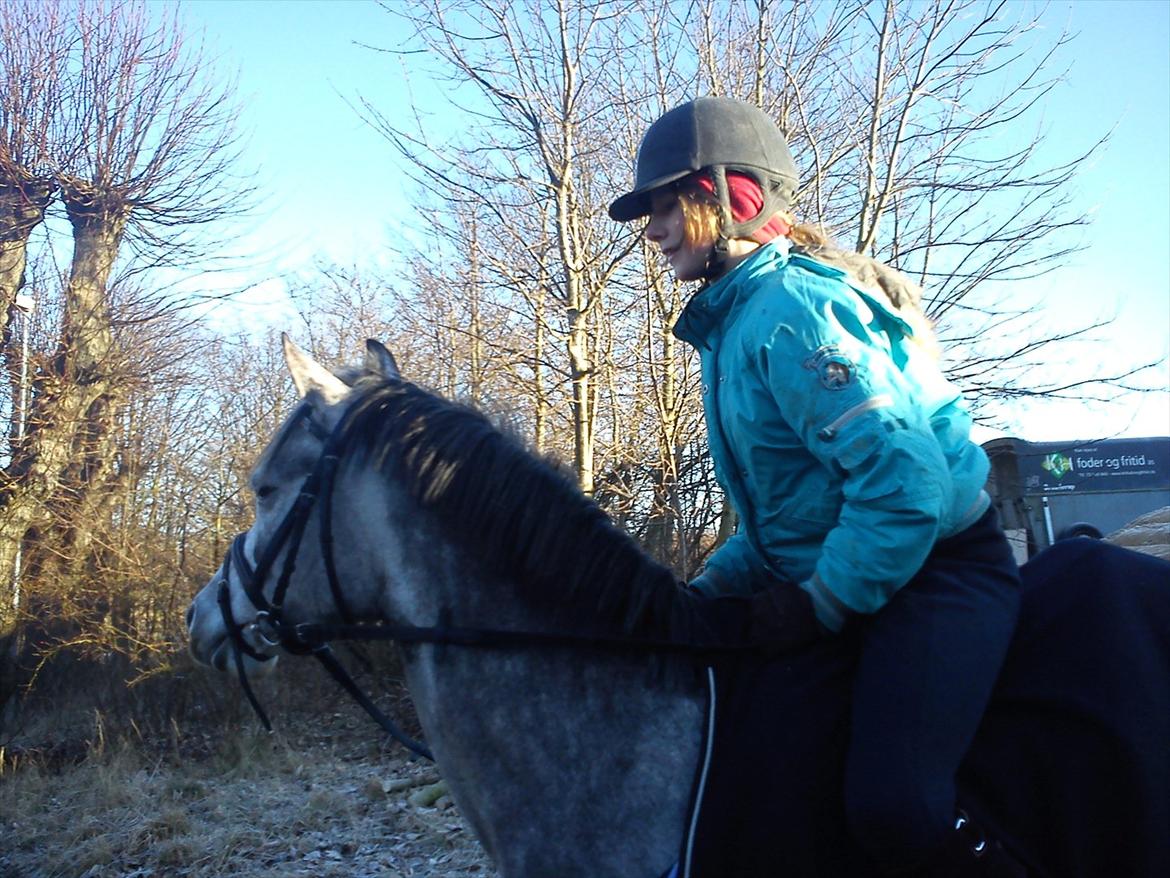 Tysk Sportspony Mille [Tidl låne pony] - Mig og Mille!<3
Taget:
20/01-12 billede 13