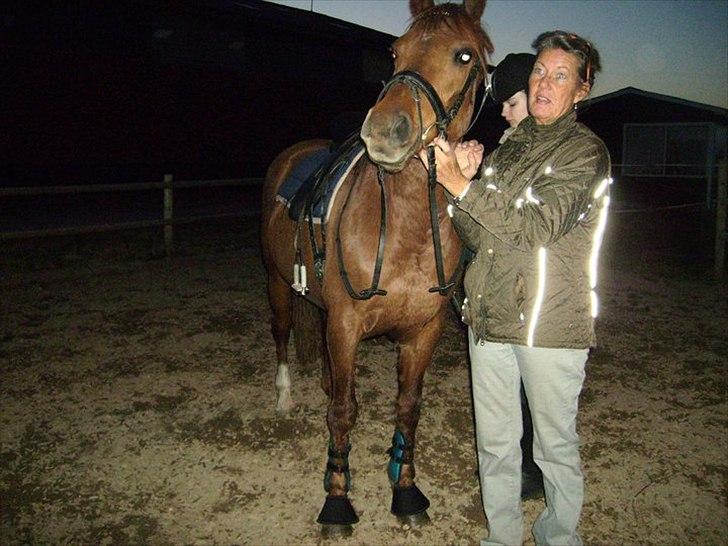 Anden særlig race Pasadena "tyksakken"<3. - Elsa, jeg og Pasadena. Ved at gøre spænde gjorden inden dressur undervisning ved Julie Schütte<3. billede 19