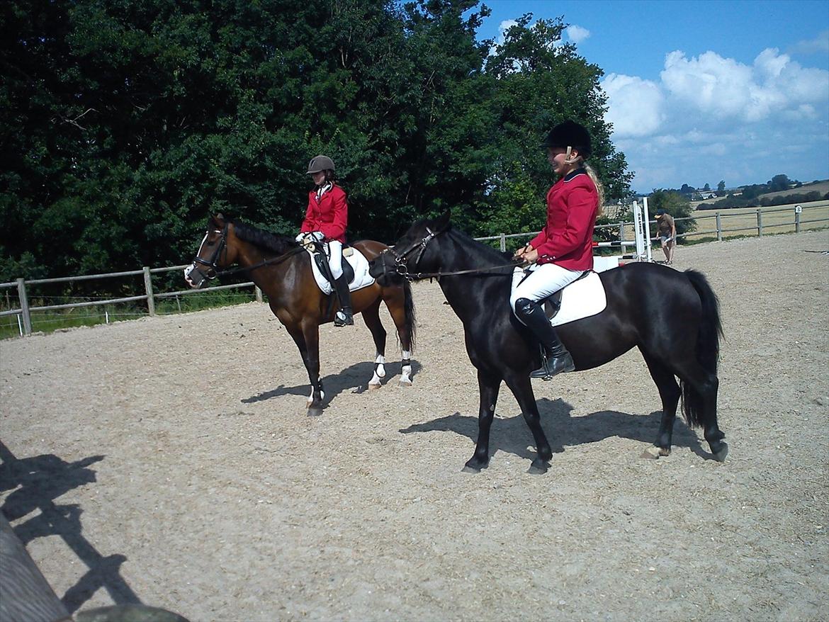 Anden særlig race ***Bastian*** - bastian til præmie overakelse billede 20