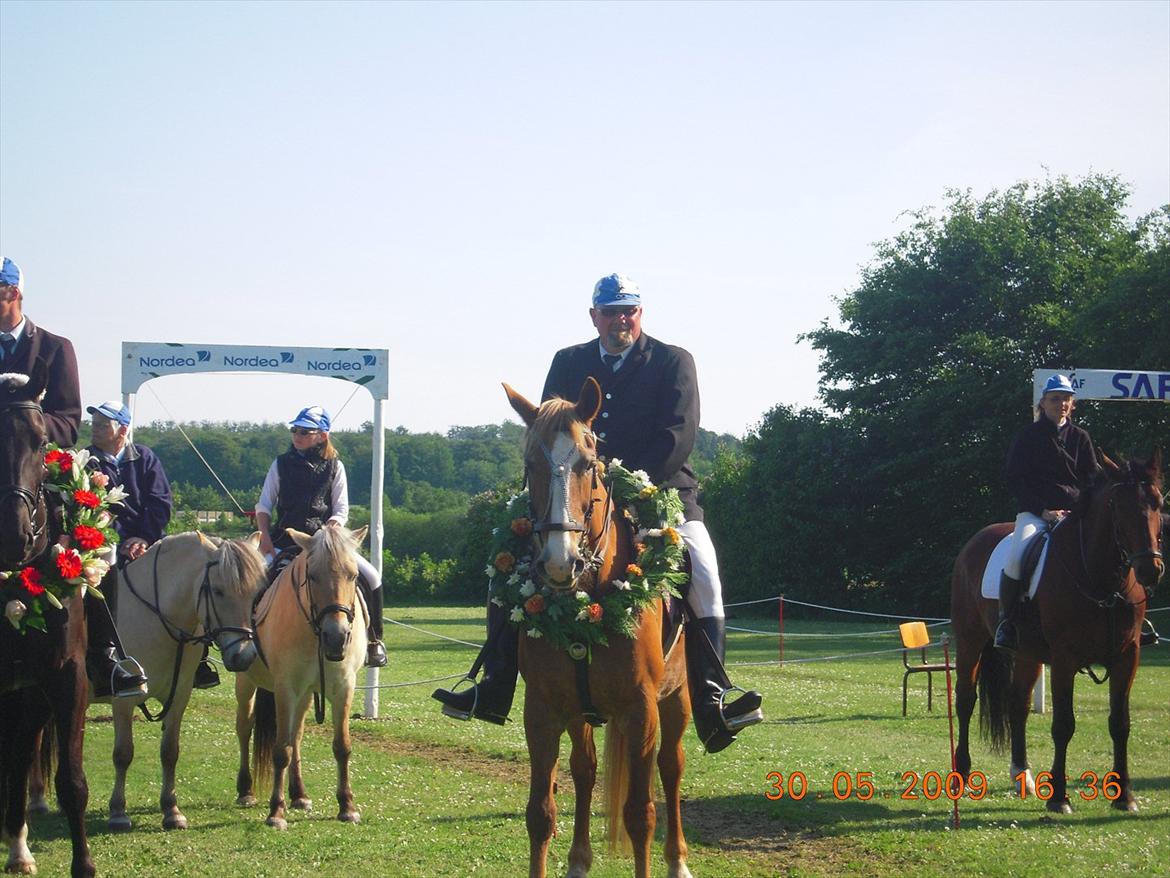 Frederiksborg Top Daisy (Fars Hest) - Top Daisy får krans til ringridning!<3 Dygtige pige!;D billede 1