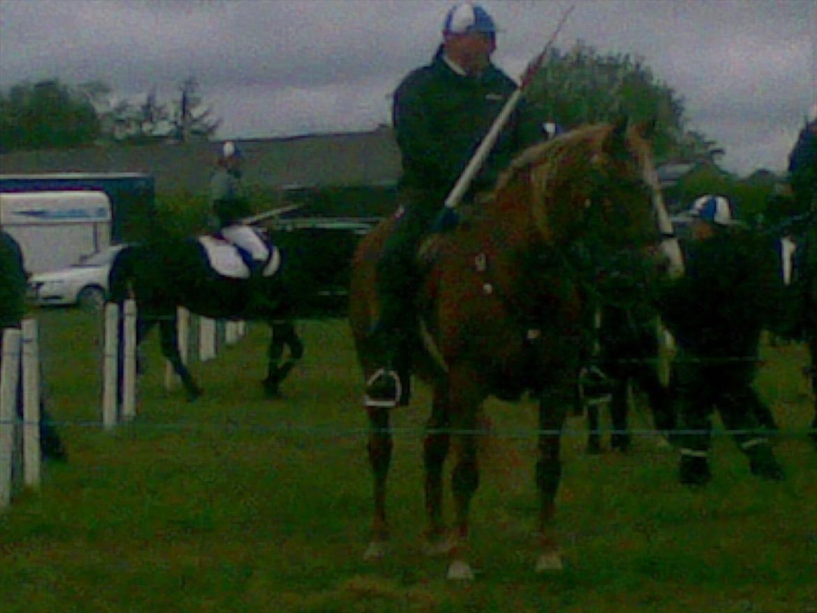Frederiksborg Top Daisy (Fars Hest) - I alt slags vejr, skal der kæmpes! billede 5