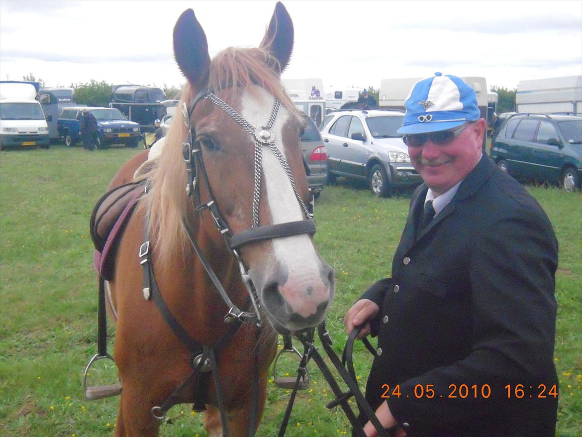 Frederiksborg Top Daisy (Fars Hest) - Daisy og far er glade efter at blive konge (Vinde)! billede 6