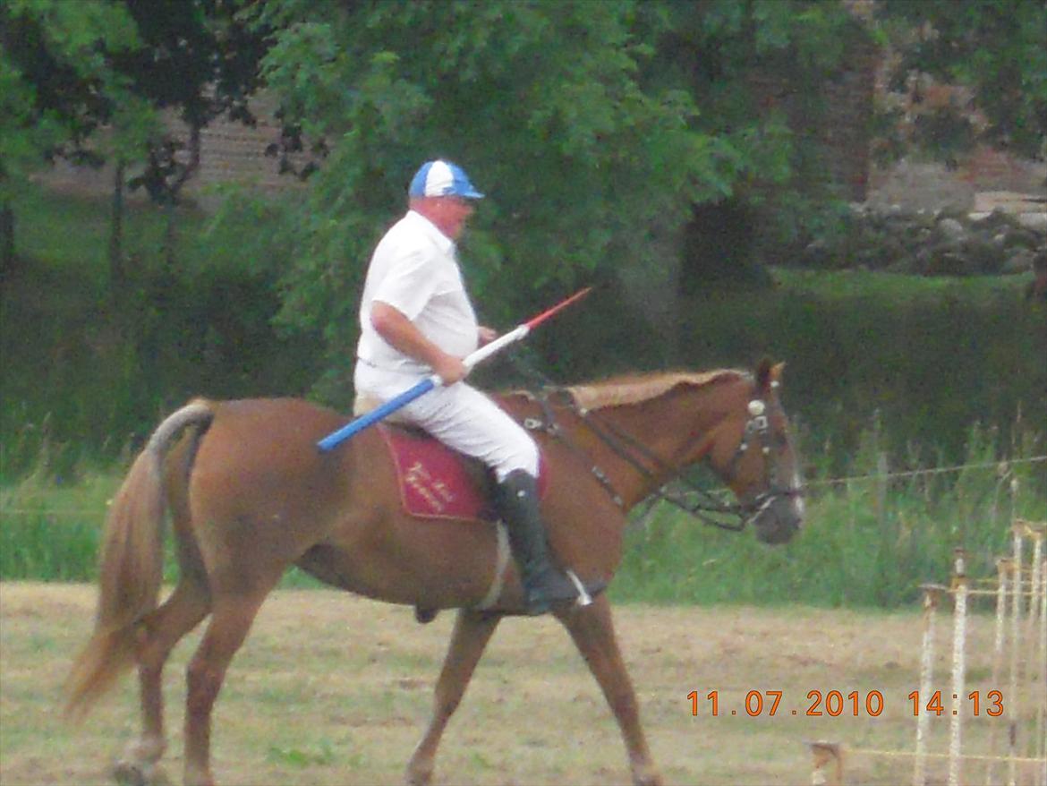 Frederiksborg Top Daisy (Fars Hest) - Så er vi igang!;) billede 10