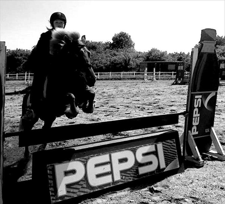 Islænder Embla fra Hessellund  - Embla springer 100 cm. med sin tidligere part :-)
År 2009. billede 13