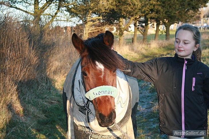 DSP Sultan fra Højbo<3 billede 20