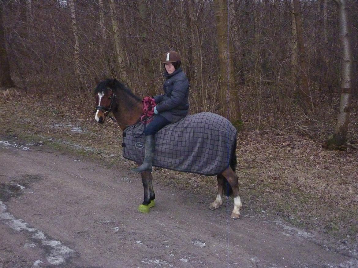 Welsh Pony (sec B) Korreborgs Pinot - Pinot og jeg på tur med Qato og Sofie.
Den 28/1 12 billede 10