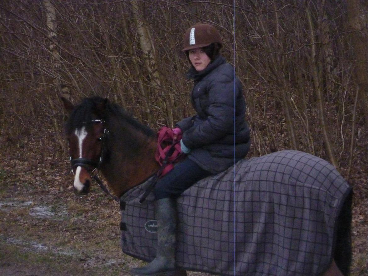 Welsh Pony (sec B) Korreborgs Pinot - Pinot og jeg på tur med Qato og Sofie.
Den 28/1 12 billede 15