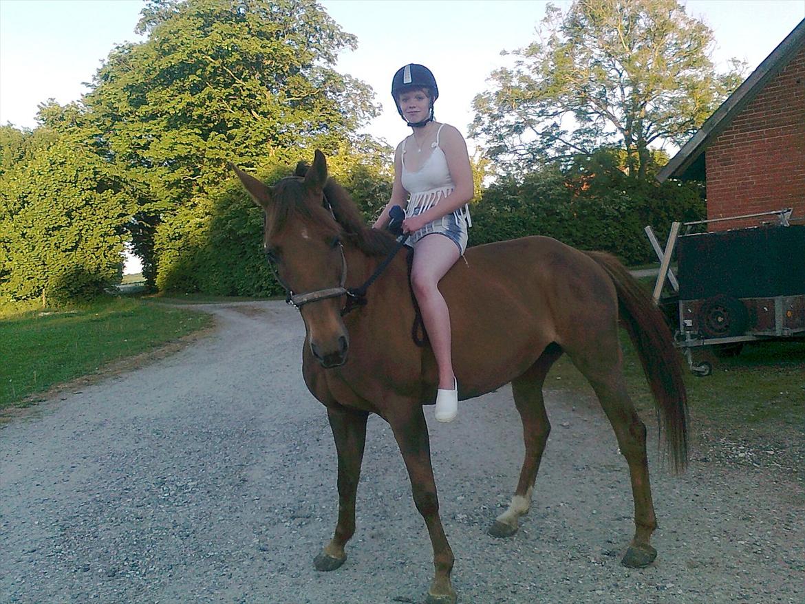 Anden særlig race Lærke - Total sommerhygge :) (juli 11) billede 5