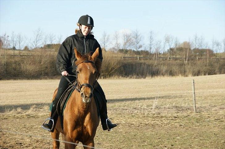 Anden særlig race Lærke - en af de første gange jeg rider Lærkemusen (24/3-11) billede 6