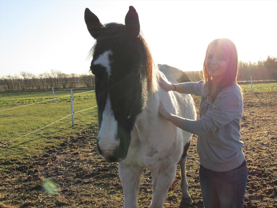 Paint Dixie billede 1