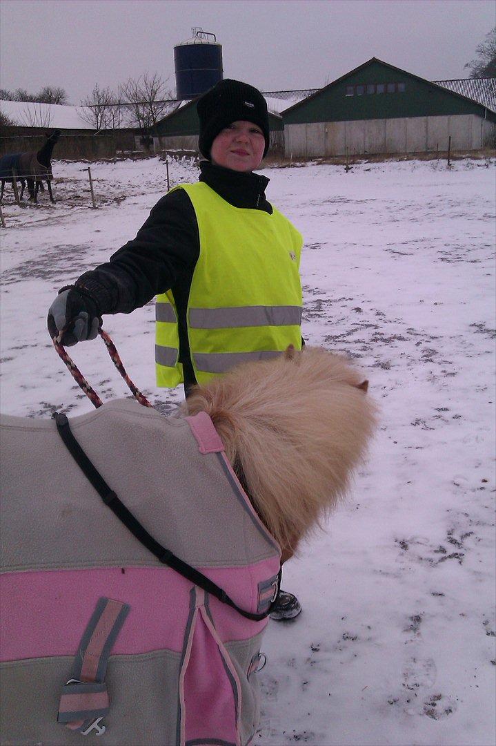 Shetlænder Jeg Elsker Dig Alberte <3<3 Smukke Dig - Smukke Mig Alberte med min ejer C= billede 3