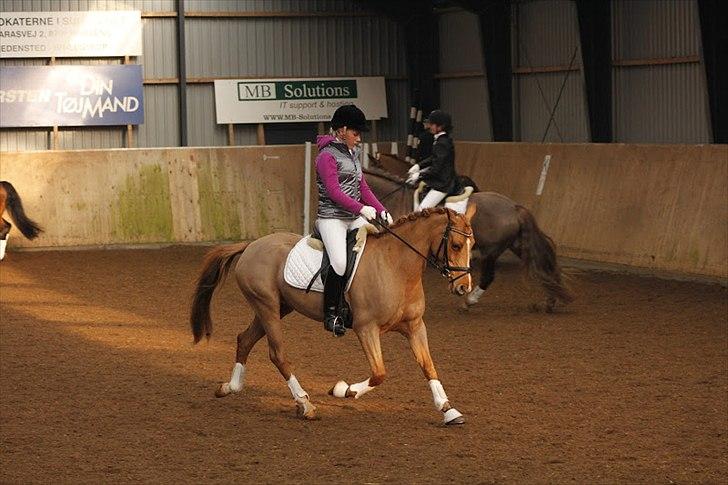 DSP Lindveds Musca - HDR C-stævne, opvarmning til LB3 billede 11