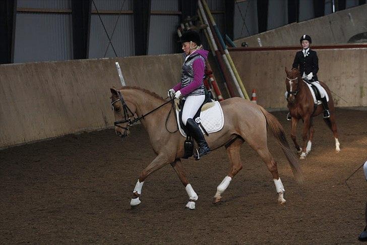 DSP Lindveds Musca - HDR C-stævne, opvarmning til LB3 billede 9