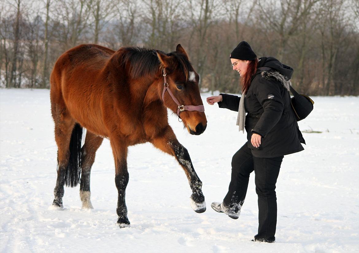 Anden særlig race Kaliffen (Givet Væk) *For Evigt Elsket <3* - Træning i sneen :) (Januar 2012) billede 6
