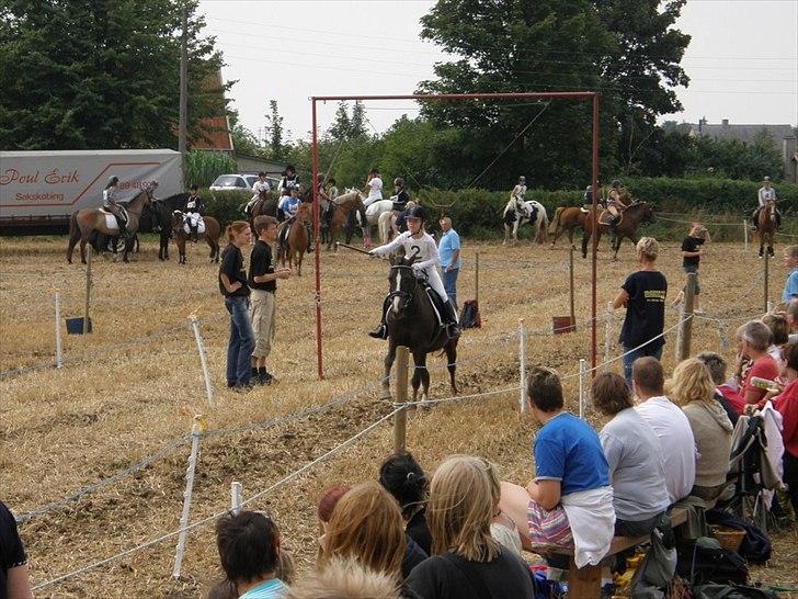 Anden særlig race Duchess - Løve ringridning 2009 :) billede 1