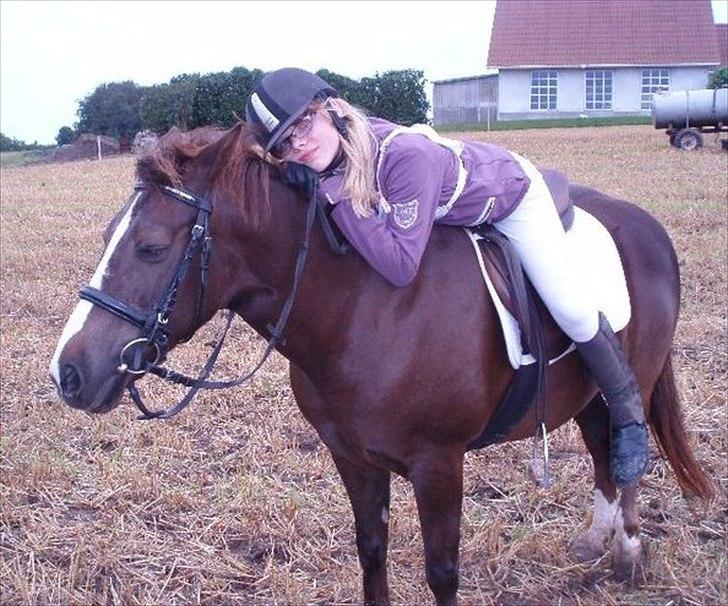 Anden særlig race Duchess billede 3