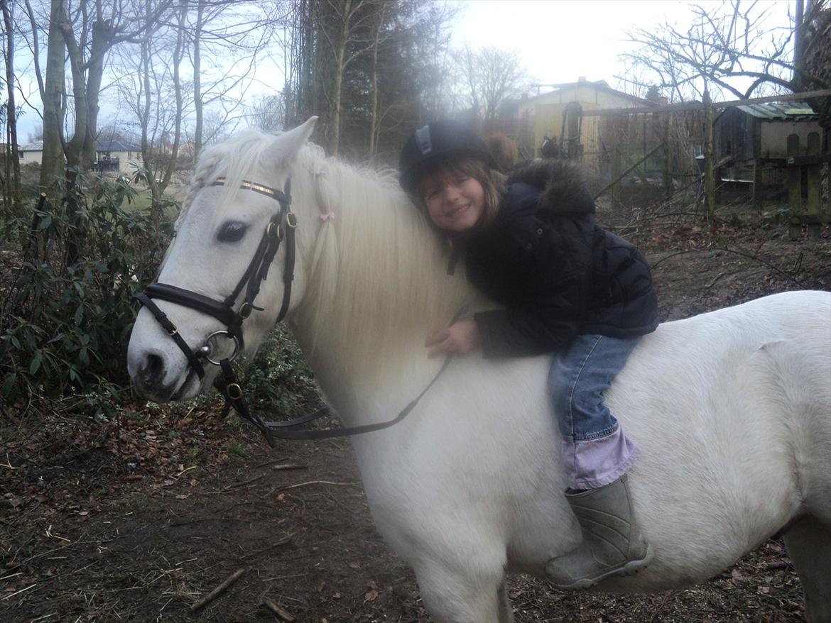 Anden særlig race Herkules - Lærke (her 6år) syntes Herkules er mega sød billede 2