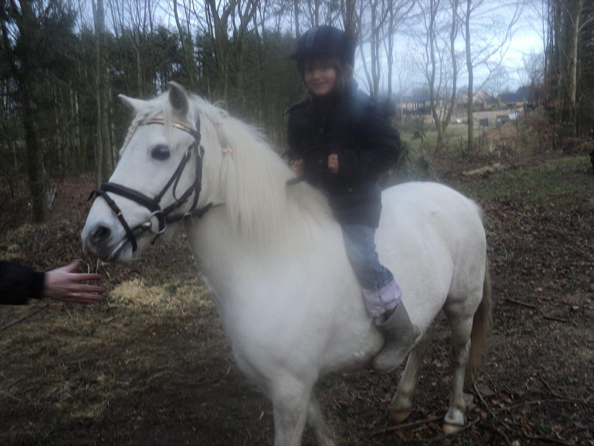 Anden særlig race Herkules - uhh du må ikke gå væk ponydreng billede 3