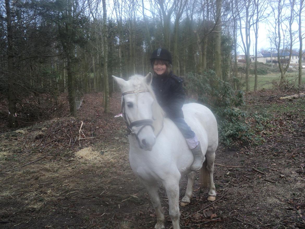 Anden særlig race Herkules - "Se hvad vi kan!" stå selv med løse tøjler, selvom man tydeligt kan se at Herkules gerne ville gå frem, så står han :) billede 4