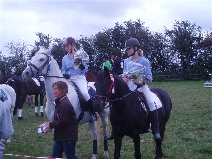 Anden særlig race Speedy - afleveret  tilbage -  - Anden gang ringridning sammen :D fik 19 ud af 20 ringe den dag :D <3 billede 4