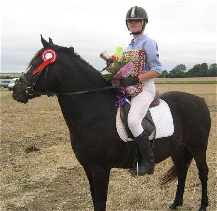 Anden særlig race Speedy - afleveret  tilbage -  - første gang vi var til ringridning sammen ;) Og det var hvad vi kom hjem med :D billede 5