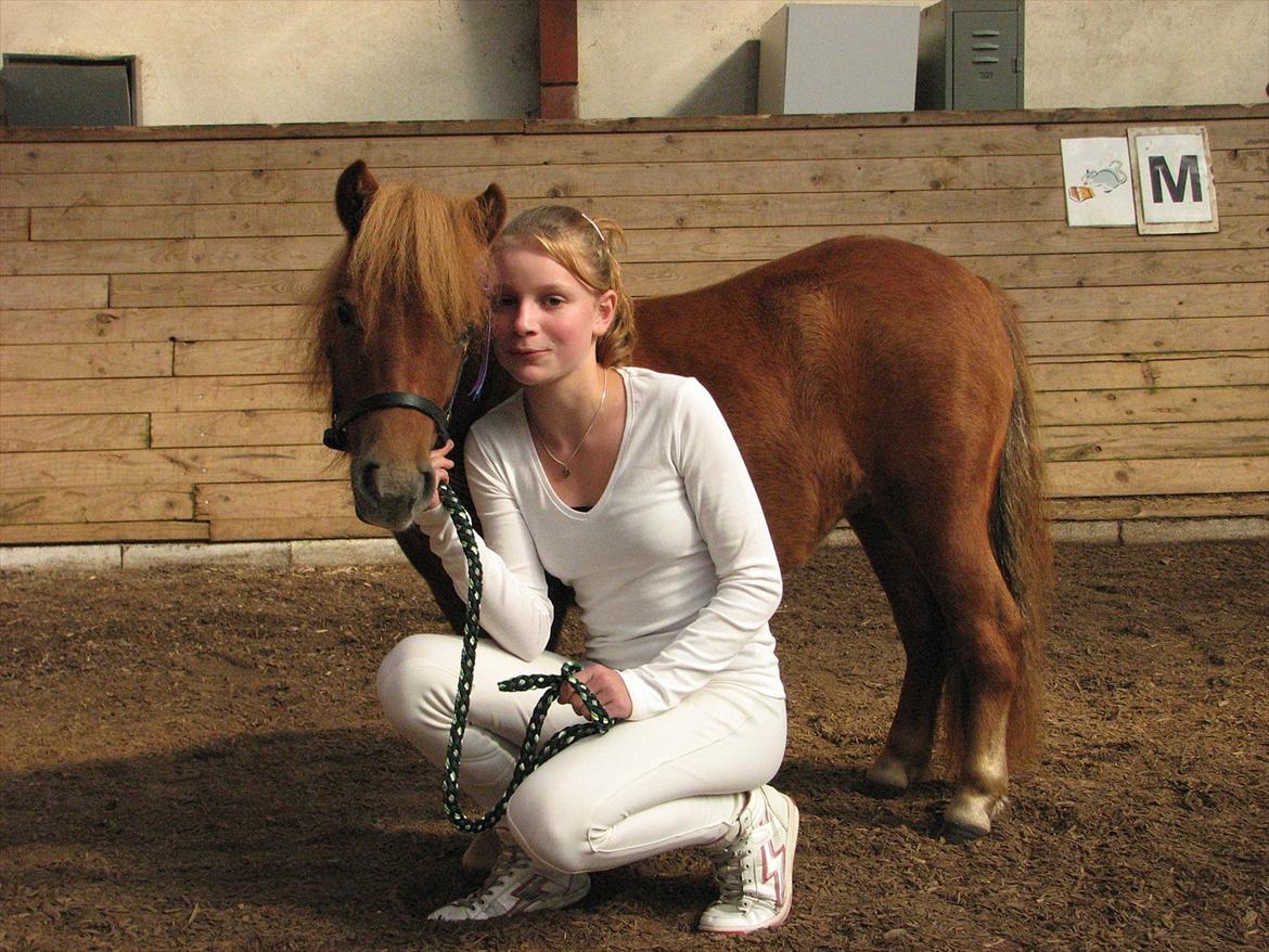 Shetlænder O´Lilly - O´Lilly og mig. billede 6