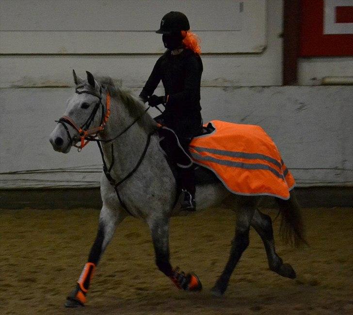 Anden særlig race Moody Bluse - Kostume spring.
- Billede taget af: Line Mortensen. billede 7