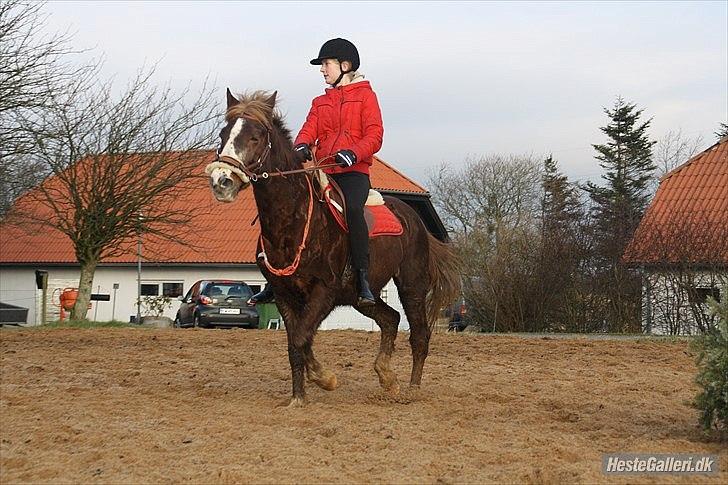 New Forest Sanchez | I miss you!<3 - Nu som bidløse med Kao's smukke cordeo billede 8